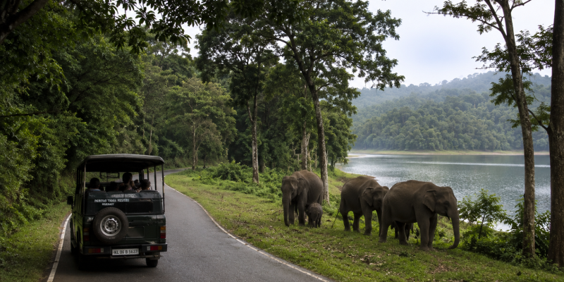 best_season_to_visit_thekkady