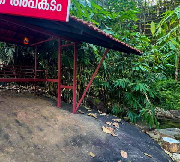 Sit Out Space With Stream View