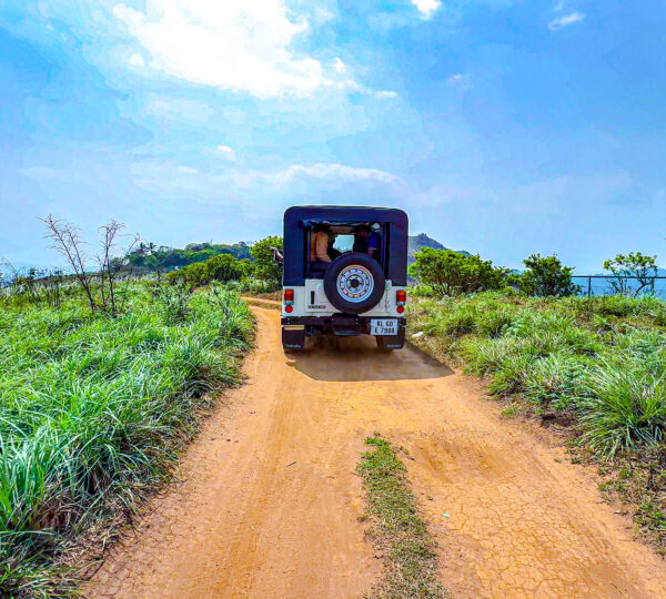 Jeep Safari