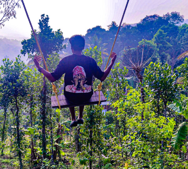 Swing